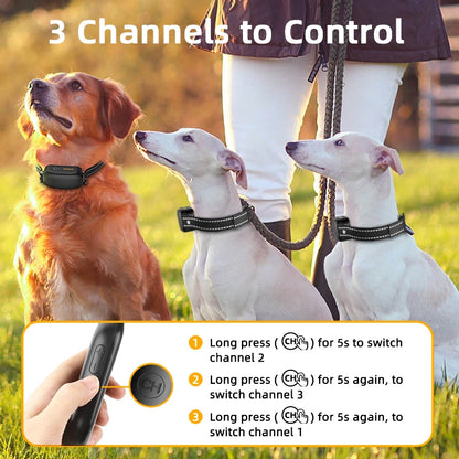 Shock Collar
