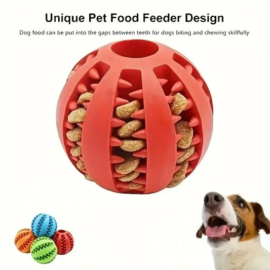 Dog gift