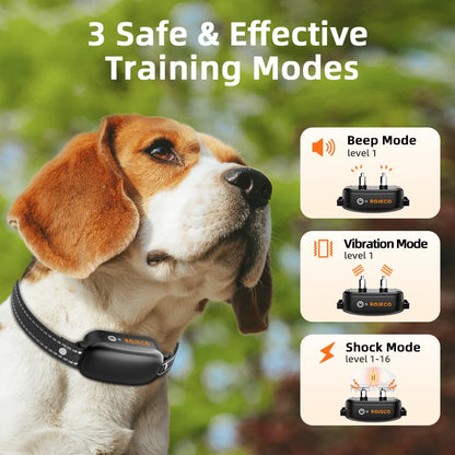 Shock Collar